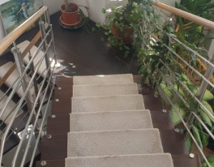 House 7 rooms for rent in Cluj-napoca, zone Borhanci