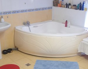 House 7 rooms for rent in Cluj-napoca, zone Borhanci