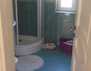 House 7 rooms for rent in Cluj-napoca, zone Borhanci