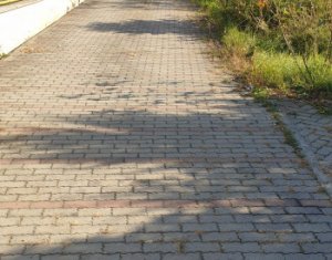 House 7 rooms for rent in Cluj-napoca, zone Borhanci