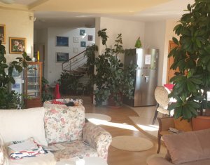 House 7 rooms for rent in Cluj-napoca, zone Borhanci