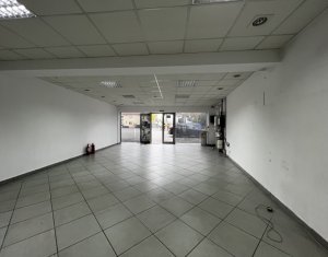 Imobil P+E 500mp, curte 10 parcari pod IRA Traian Vuia