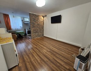 Apartment 1 rooms for rent in Cluj-napoca