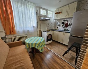 Apartment 1 rooms for rent in Cluj-napoca