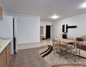 Appartement 2 chambres à louer dans Cluj-napoca, zone Manastur