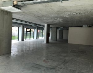 Spatiu parter 300mp, zona Marasti Farmec