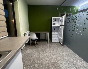 Appartement 4 chambres à louer dans Cluj-napoca, zone Europa