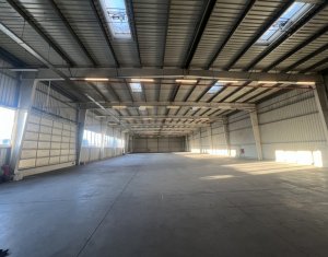 Espace Industriel à louer dans Apahida