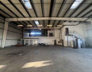 Espace Industriel à louer dans Apahida