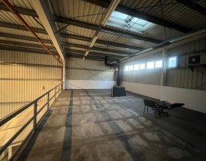 Industrial space for rent in Apahida