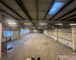 Industrial space for rent in Apahida