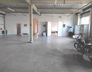 Imobil 700mp showroom, depozitare, productie, 10 parcari, zona Aeroport