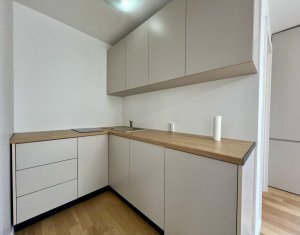 Maison 2 chambres à louer dans Cluj-napoca, zone Gheorgheni