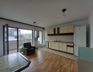 Apartment 1 rooms for rent in Cluj-napoca, zone Borhanci