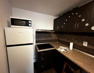 Studio for rent in Cluj-napoca, zone Grigorescu