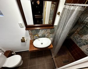 Studio for rent in Cluj-napoca, zone Grigorescu