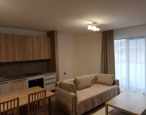 Appartement 2 chambres à louer dans Cluj-napoca, zone Iris