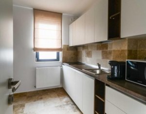 Appartement 3 chambres à louer dans Cluj-napoca, zone Intre Lacuri