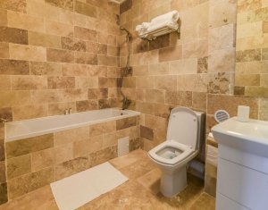 Appartement 3 chambres à louer dans Cluj-napoca, zone Intre Lacuri