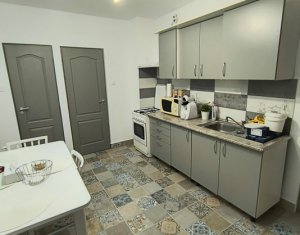 Maison 2 chambres à louer dans Cluj-napoca, zone Gheorgheni