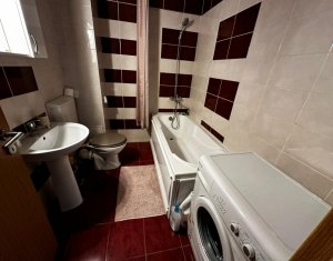 Appartement 1 chambres à louer dans Cluj-napoca