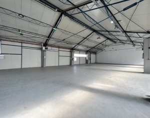 Industrial space for rent in Cluj-napoca, zone Someseni