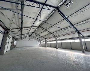 Industrial space for rent in Cluj-napoca, zone Someseni