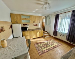 House 3 rooms for rent in Floresti