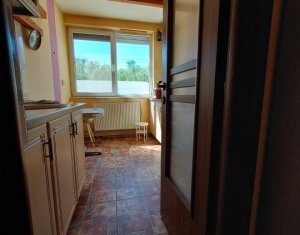 Lakás 2 szobák kiadó on Cluj-napoca, Zóna Centru