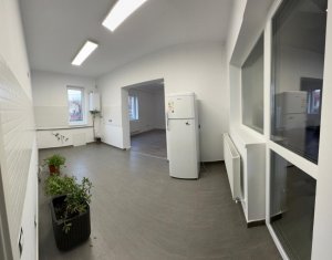 Office for rent in Cluj-napoca, zone Dambul Rotund