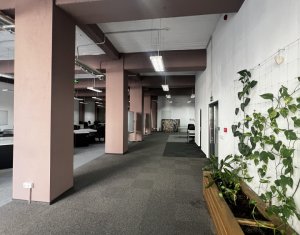 Commercial space for rent in Cluj-napoca, zone Centru