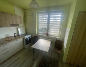 Appartement 2 chambres à louer dans Cluj-napoca, zone Gheorgheni