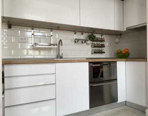 Apartment 1 rooms for rent in Cluj-napoca