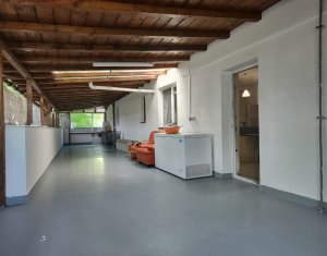 Appartement 4 chambres à louer dans Cluj-napoca, zone Europa