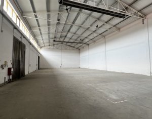 Industrial space for rent in Cluj-napoca, zone Someseni