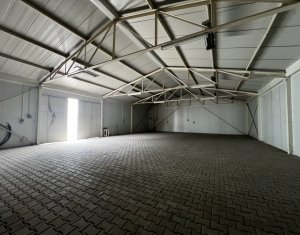 Depozit stradal zona Aeroport, acc TIR, trifazic, curte pavata 1500mp