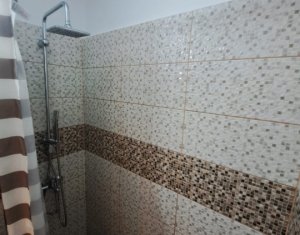 De inchiriat apartament cu 2 camere, zona BIG