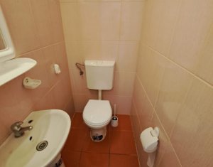 Ház 3 szobák kiadó on Cluj-napoca, Zóna Marasti