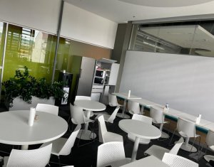Birouri Clasa A 1900mp, zona corporate Bosch Engeneering 