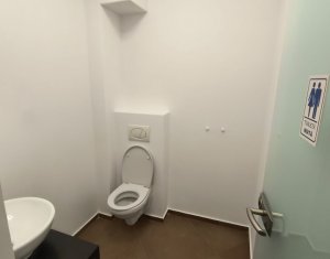 House 6 rooms for rent in Cluj-napoca, zone Buna Ziua