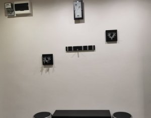 Appartement 2 chambres à louer dans Cluj-napoca, zone Zorilor