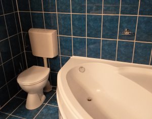 Apartament la casa individuala de inchiriat