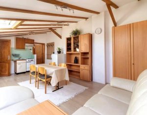 Apartment 1 rooms for rent in Cluj-napoca, zone Gheorgheni