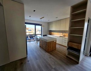 Maison 5 chambres à louer dans Cluj-napoca, zone Gruia