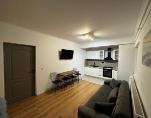 Apartment 2 rooms for rent in Cluj-napoca, zone Buna Ziua