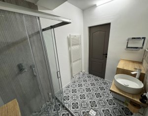 Apartment 2 rooms for rent in Cluj-napoca, zone Buna Ziua