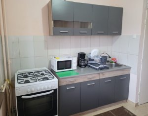 Apartment 1 rooms for rent in Cluj-napoca, zone Marasti