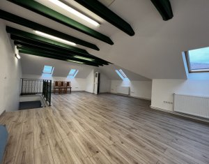 Espace Commercial à louer dans Cluj-napoca, zone Gruia