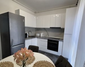 Apartament 2 camere in zona UMF