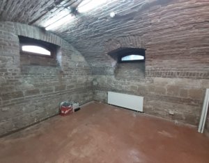 Casa de inchiriat, 450 mp, teren 1250 mp